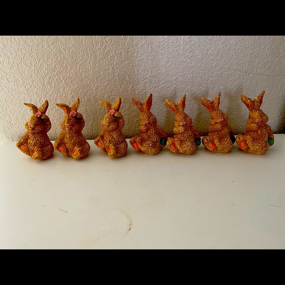 7 bunnies